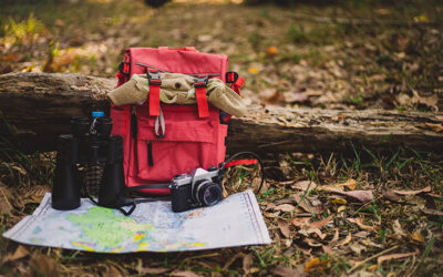 Топ-5 вещей туриста, которые обязательно должны быть в рюкзаке во время прогулки