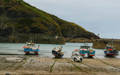 Где в Териберке организовать лучшие экскурсии от отелей: советы для туристов