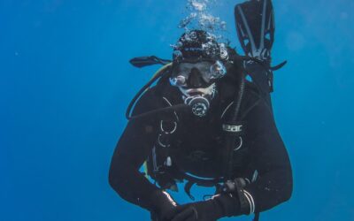 Дайвинг в Баренцевом море: пробное погружение, подготовка и проживание